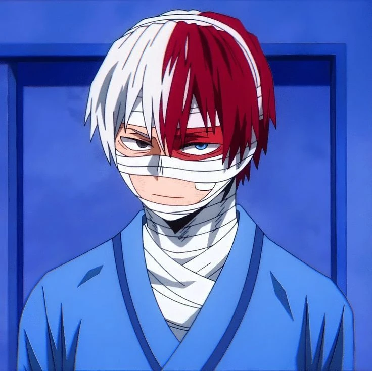 shoto todoroki thumbnail