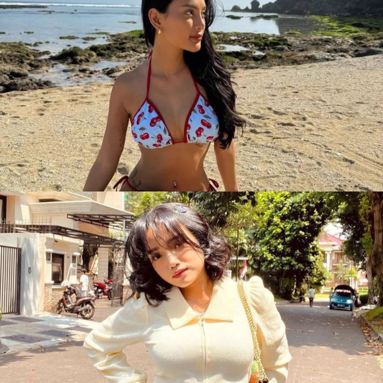 Erika and Fuji thumbnail