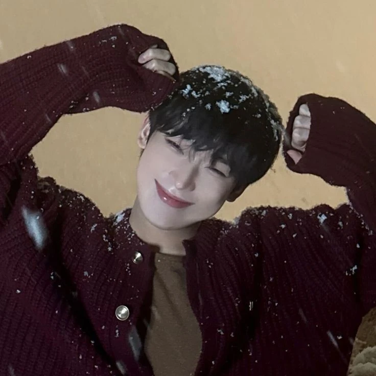  ₊ ̇ 𝐅𝐚𝐜𝐮 🦊 ! ̇⋆