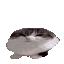 yupii thumbnail
