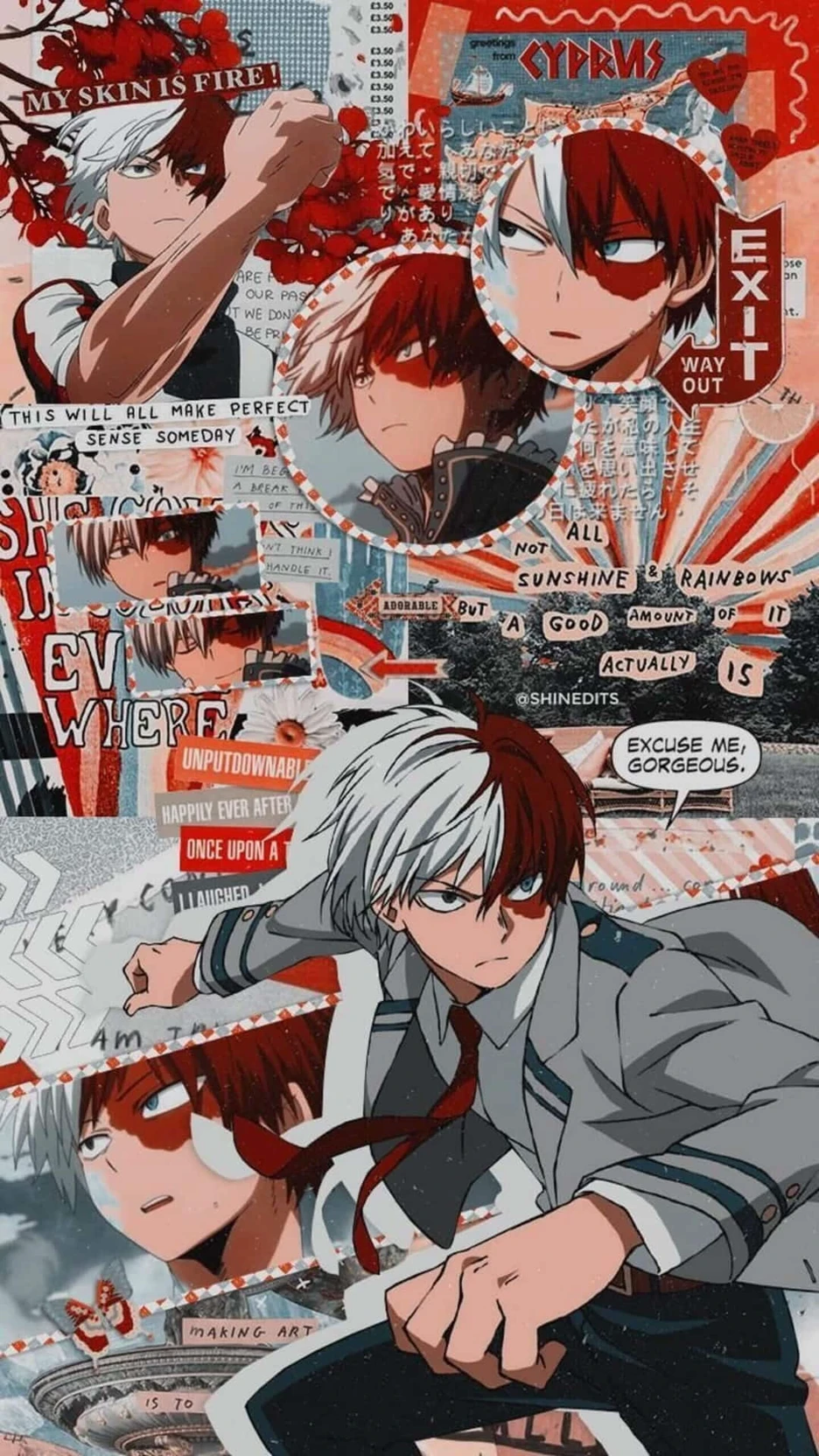 🔥Shoto Todoroki❄️ thumbnail