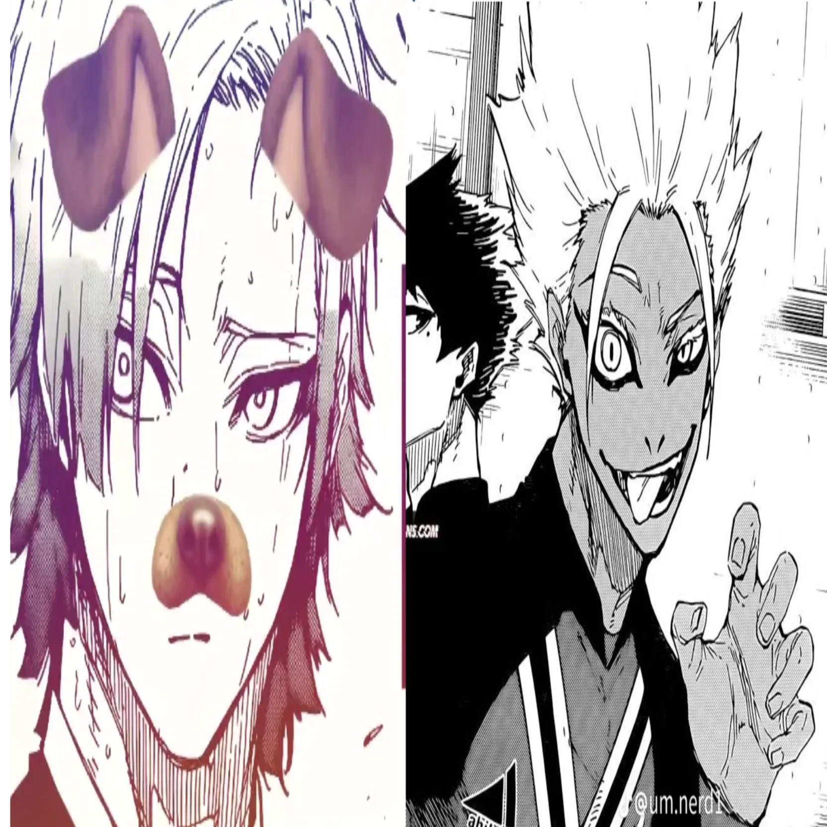 Kaiser e shidou thumbnail