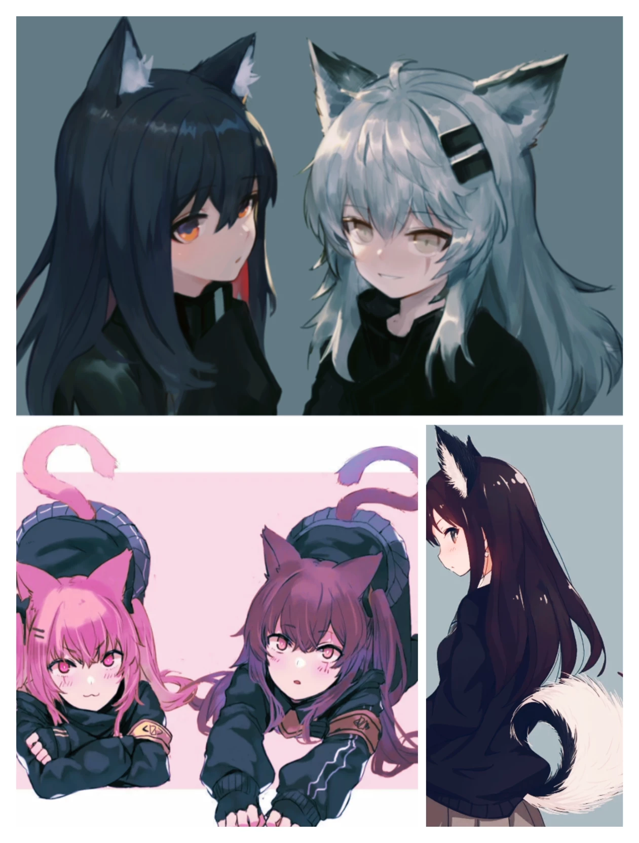 Pets 🤗🦊🐺🐱🐶❤️ thumbnail