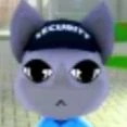 Security thumbnail