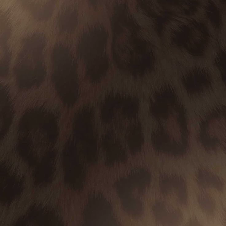 WWWMOR