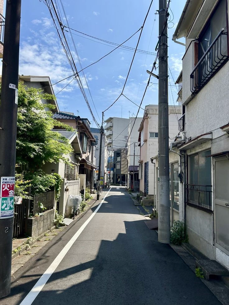 🇯🇵 Japan 🇯🇵 thumbnail