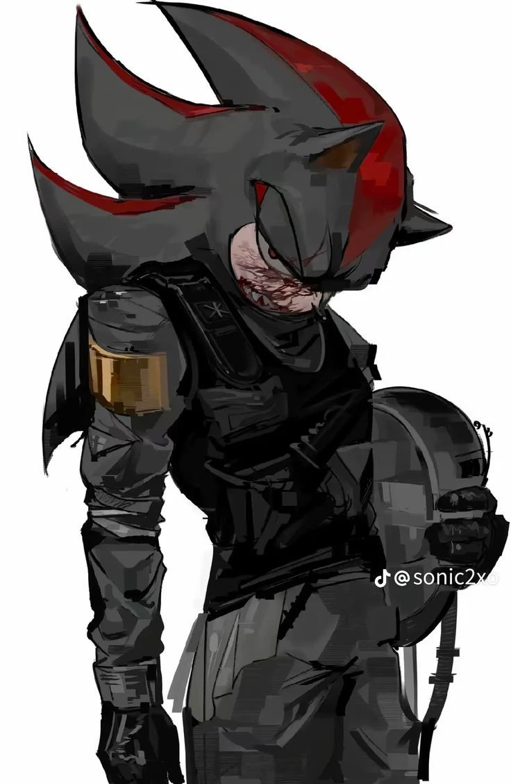 Shadow - Bodyguard thumbnail