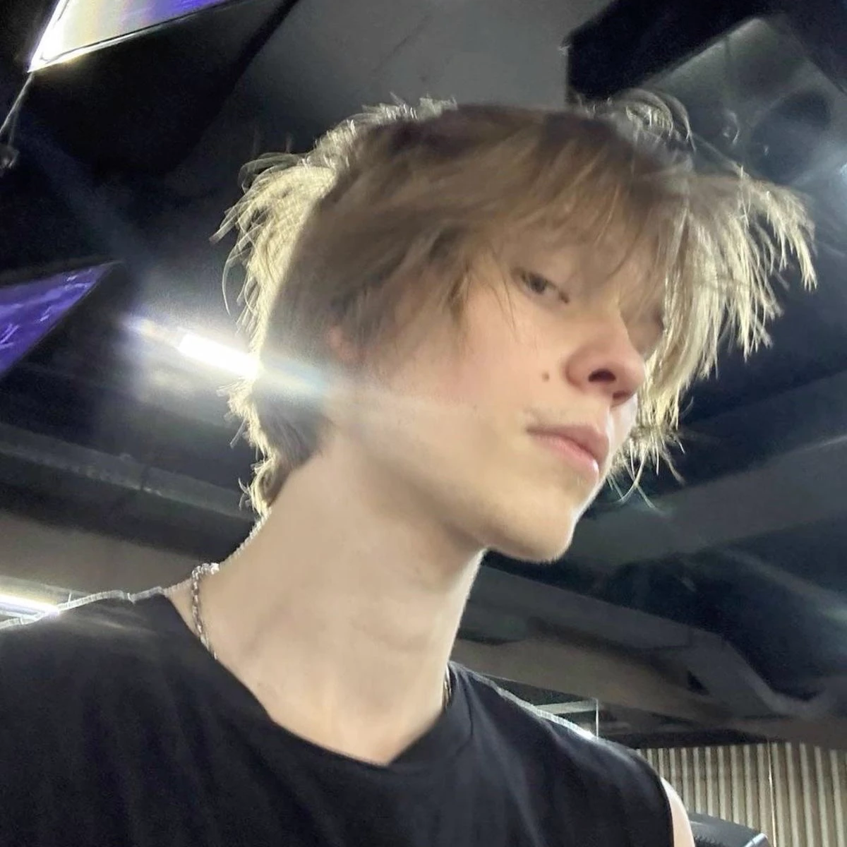 dipins thumbnail