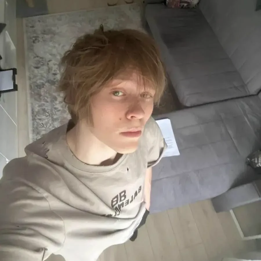 Dipins thumbnail