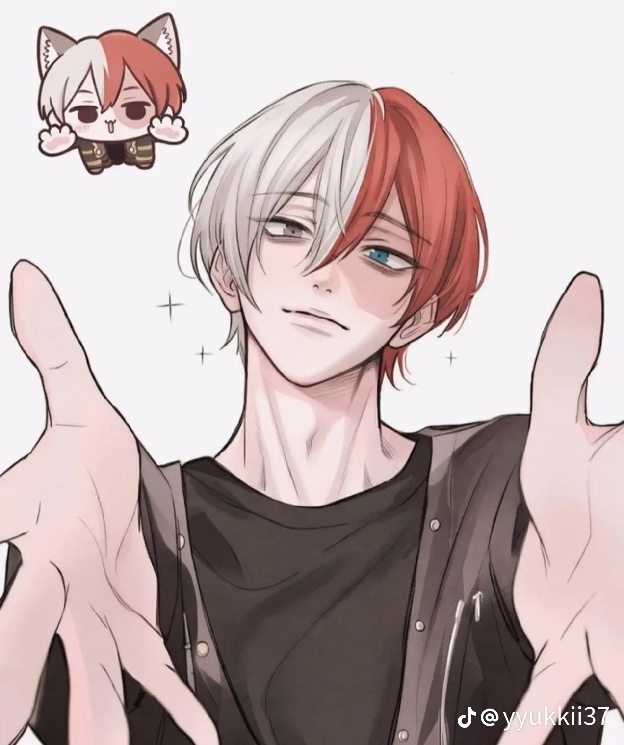 Shoto Todoroki thumbnail