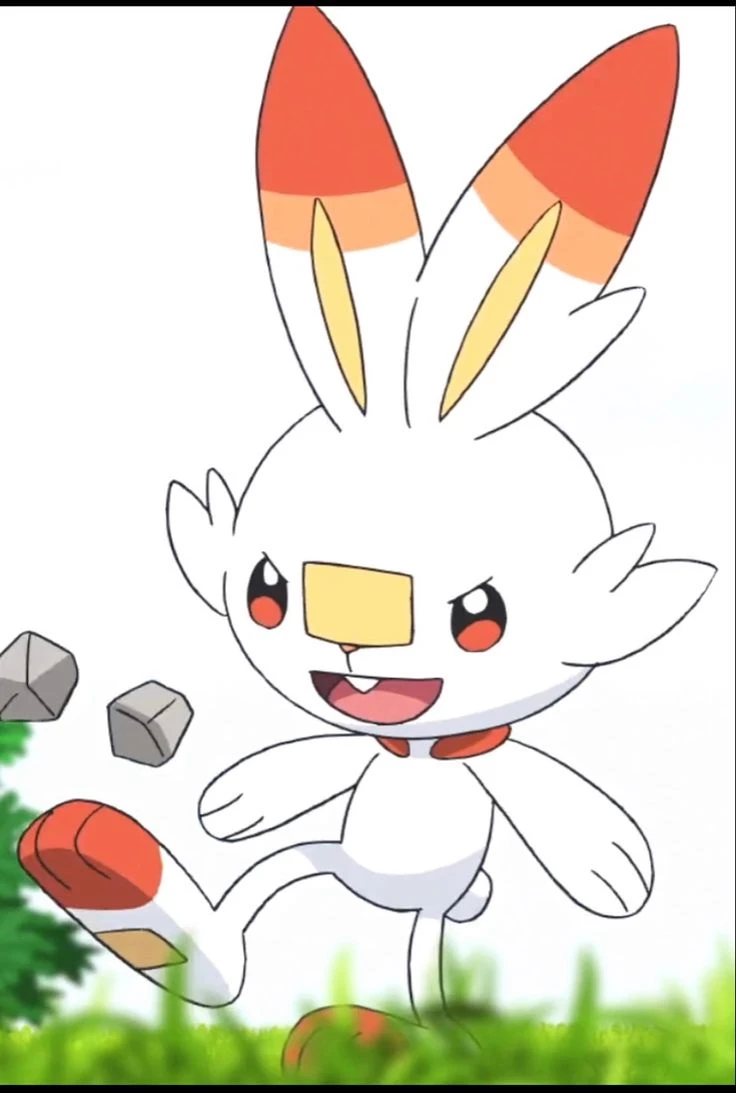 your life like a scorbunny thumbnail