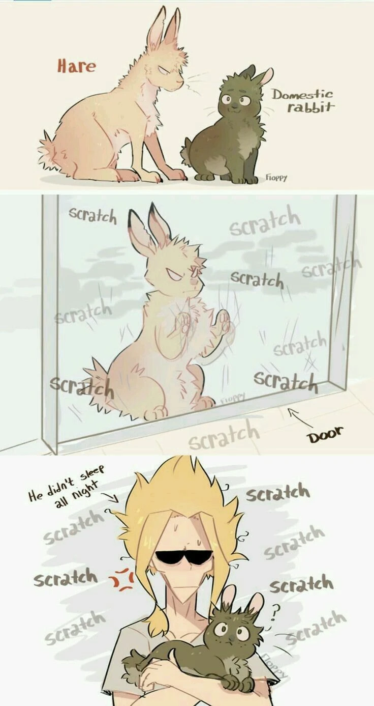 Bkdk Rabbits thumbnail