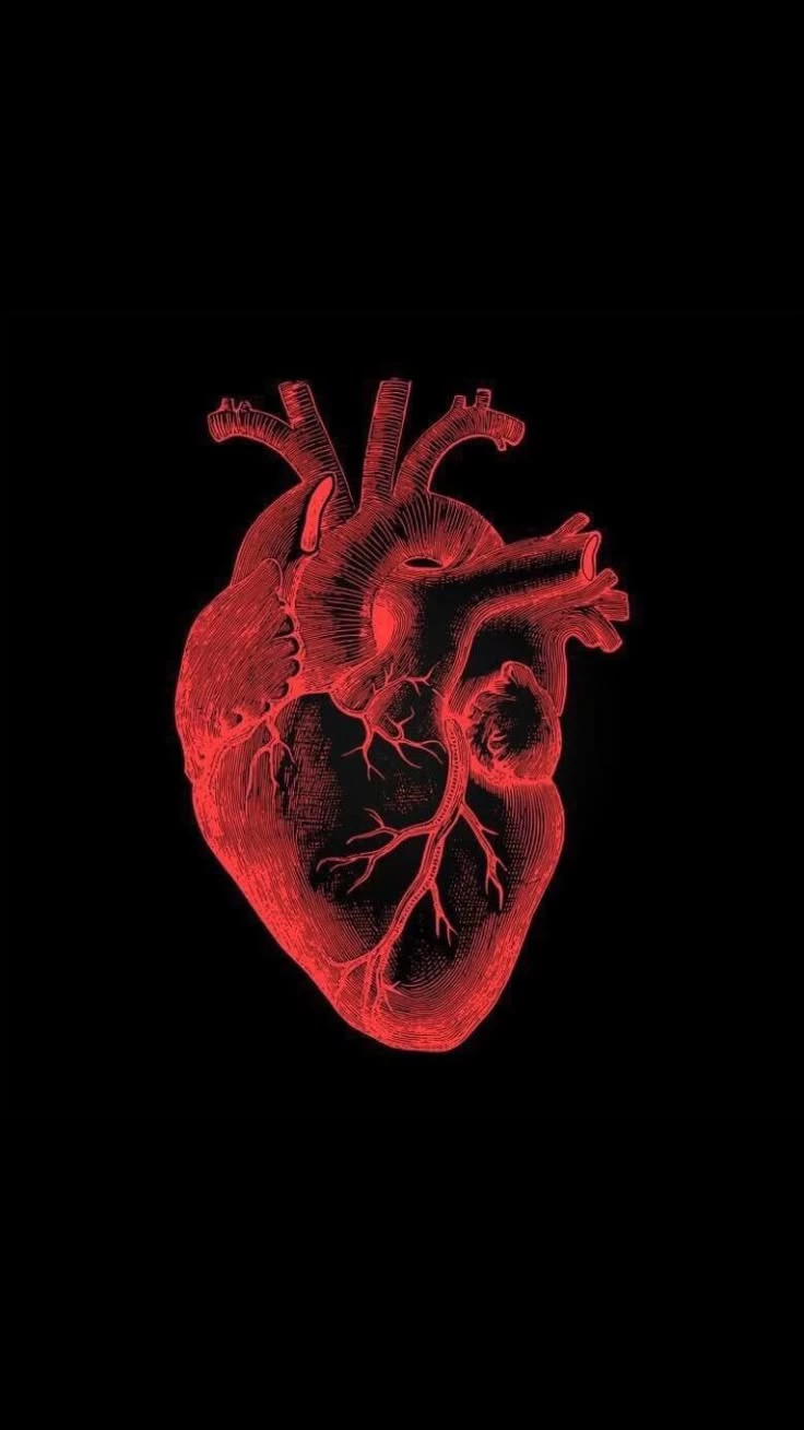 voice of the heart thumbnail