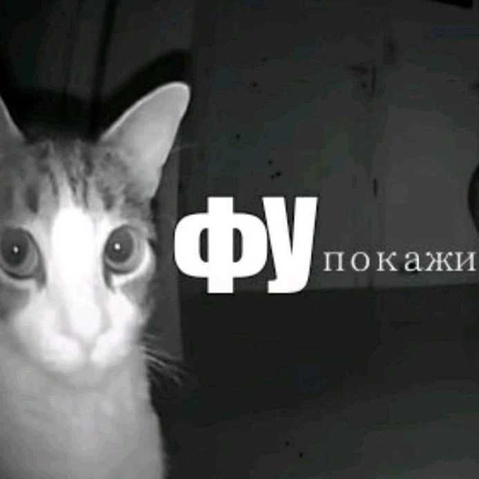 пиписька