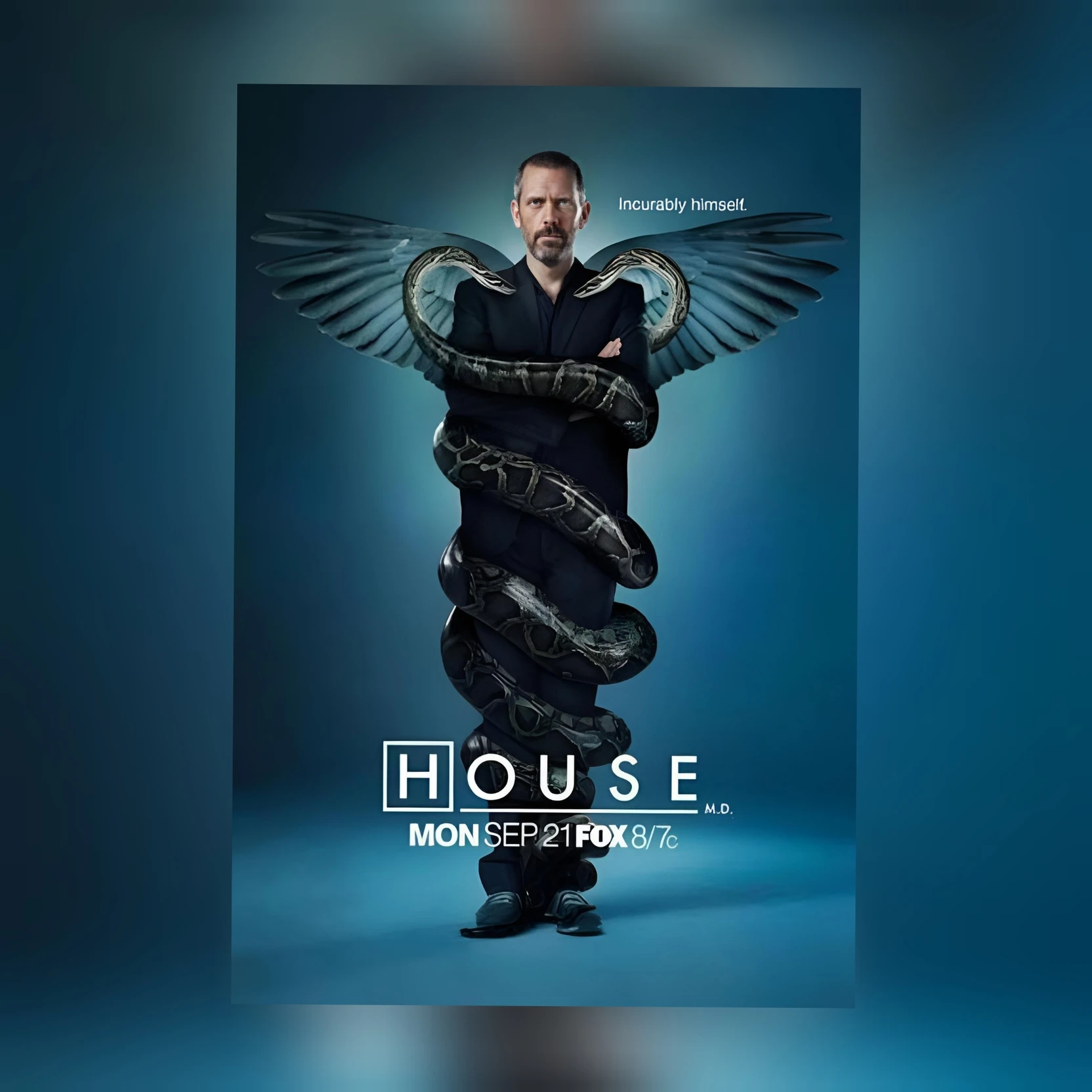 Series: House thumbnail