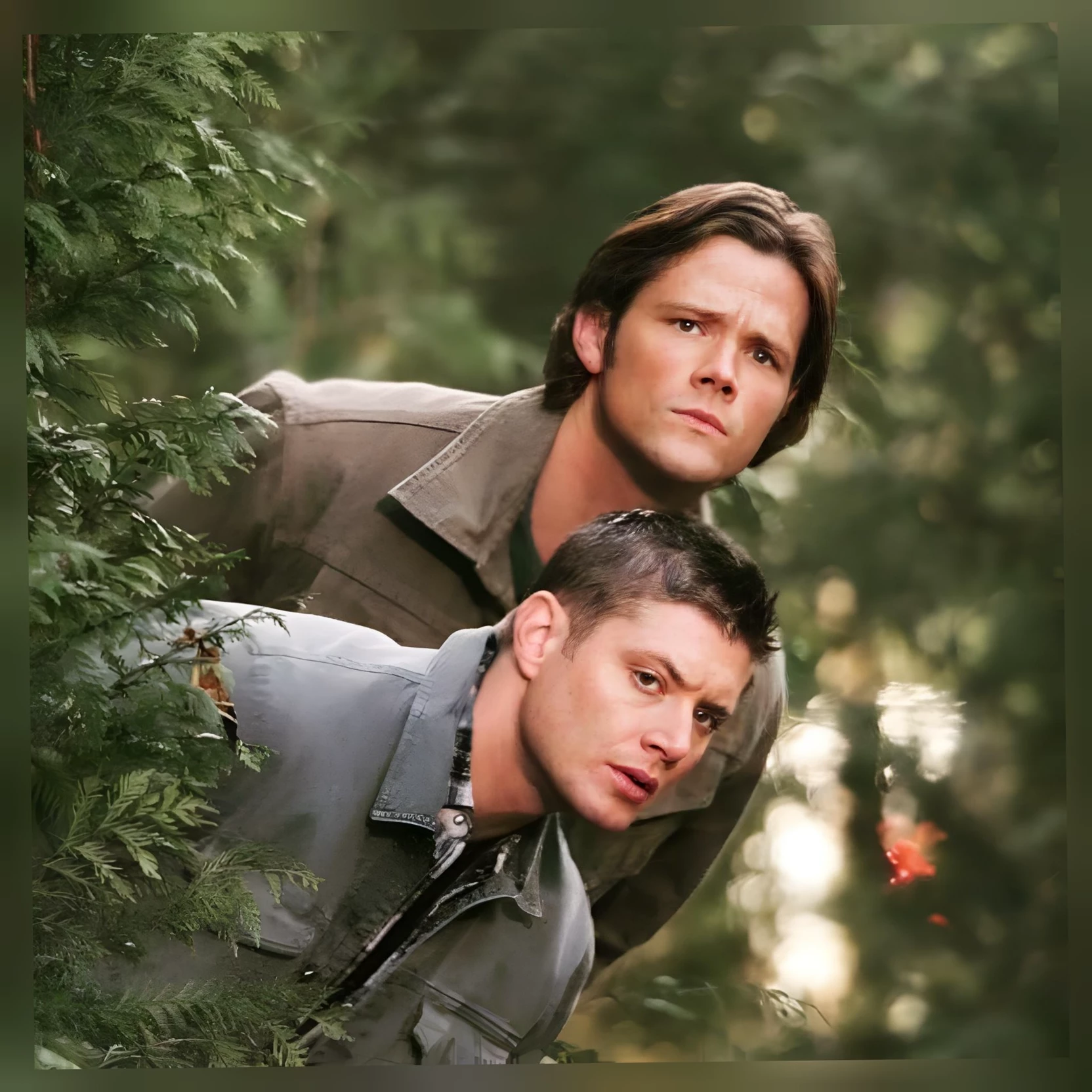 Winchester thumbnail