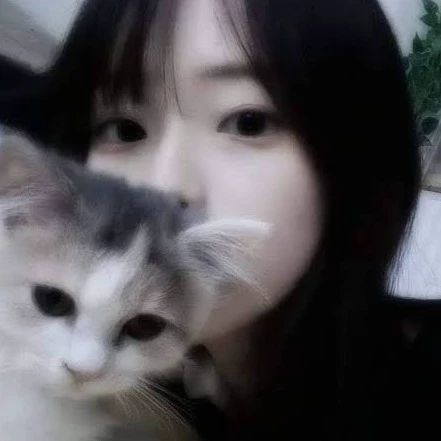 Kitty