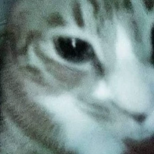 ✩𝓕𝑒𝒍𝒾ﾒ✩