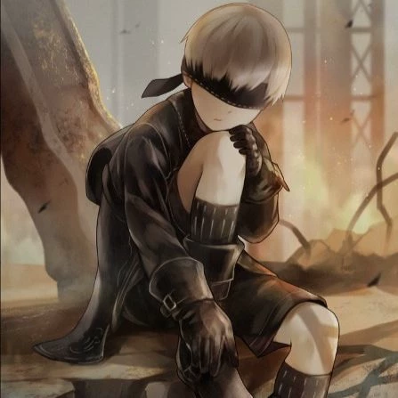 9S thumbnail