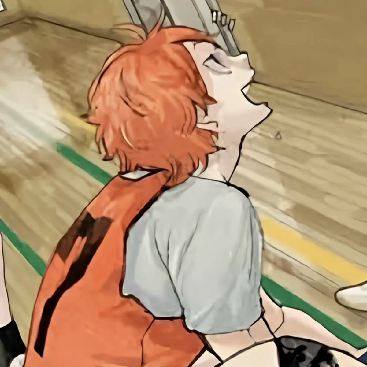 Shoyo thumbnail