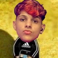 Elmi 
