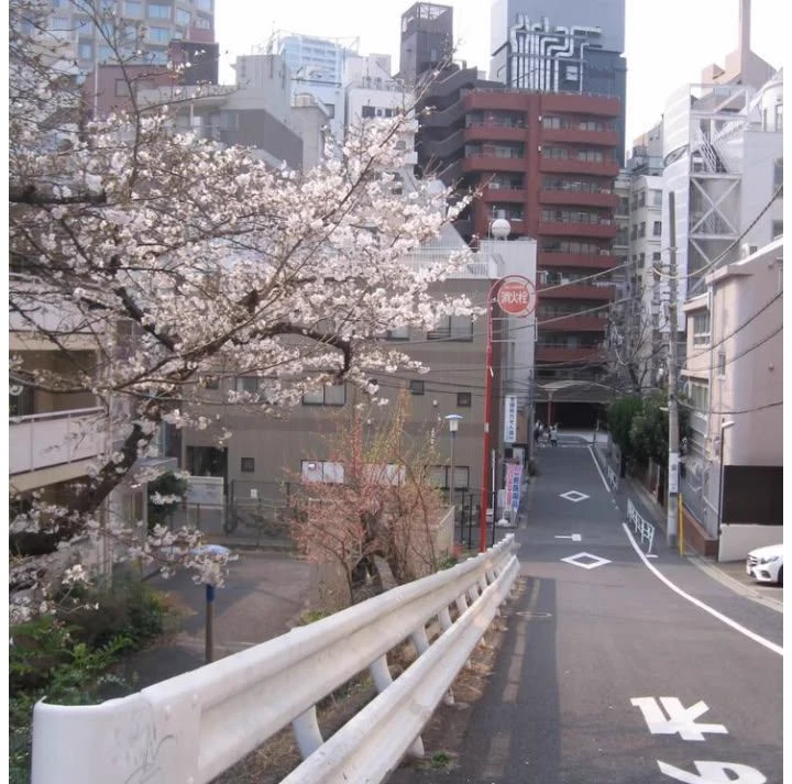 Japanese life~ thumbnail
