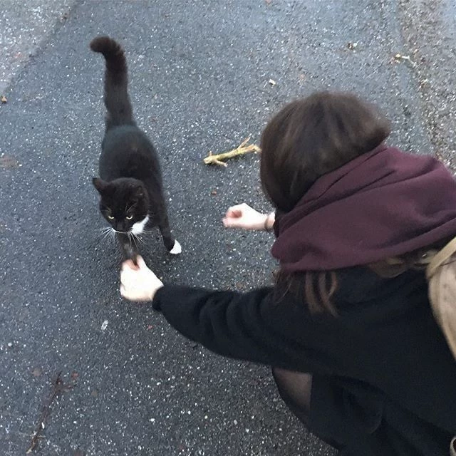 Hana Kimi  thumbnail