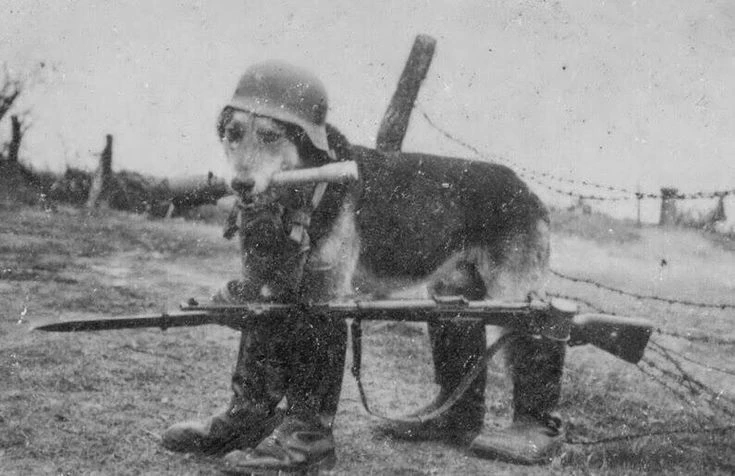 chicas francesas ww1 thumbnail