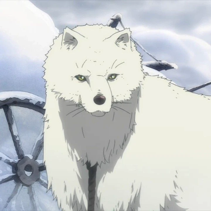 Fushi Real Estate - Wolf thumbnail