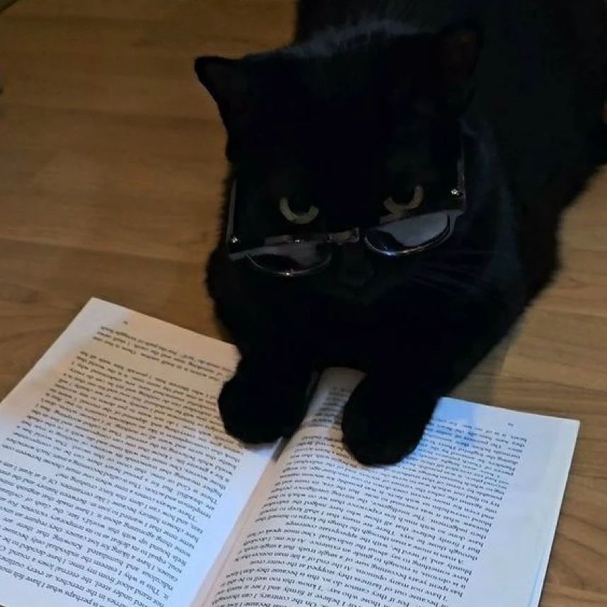 Kat_notkar