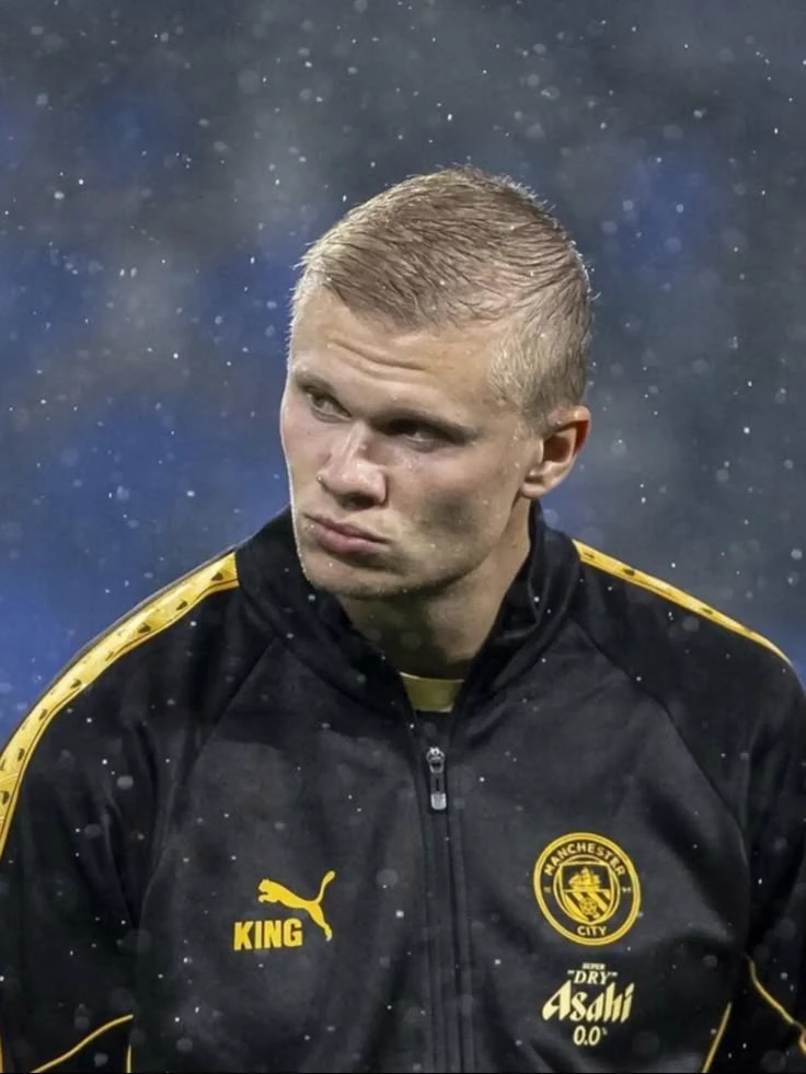 Erling Haaland. thumbnail