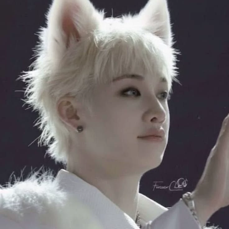 Bang Chan (Wolf) thumbnail