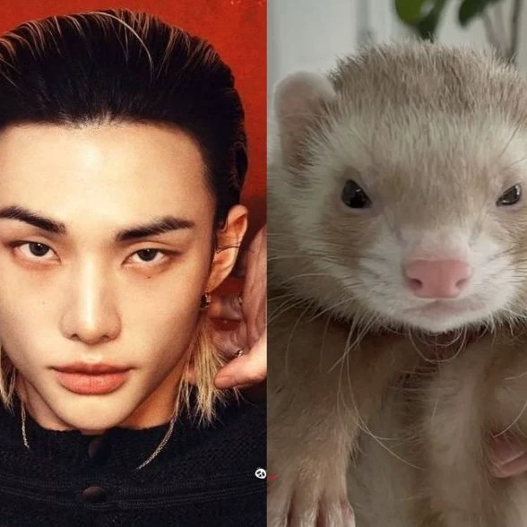 Hyunjin thumbnail