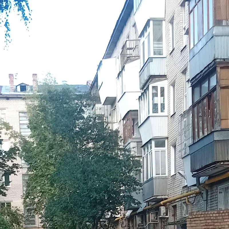 Leonid