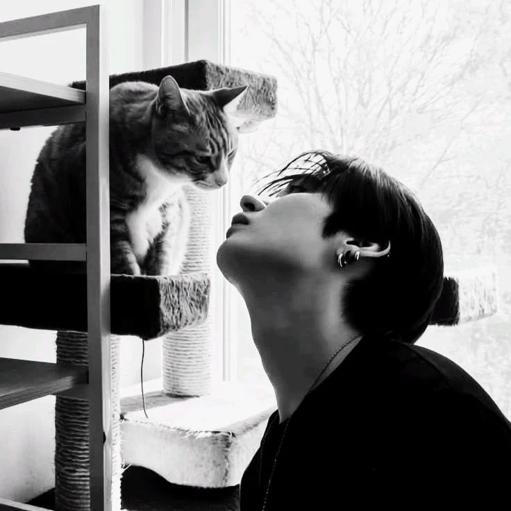 Lee Minho thumbnail
