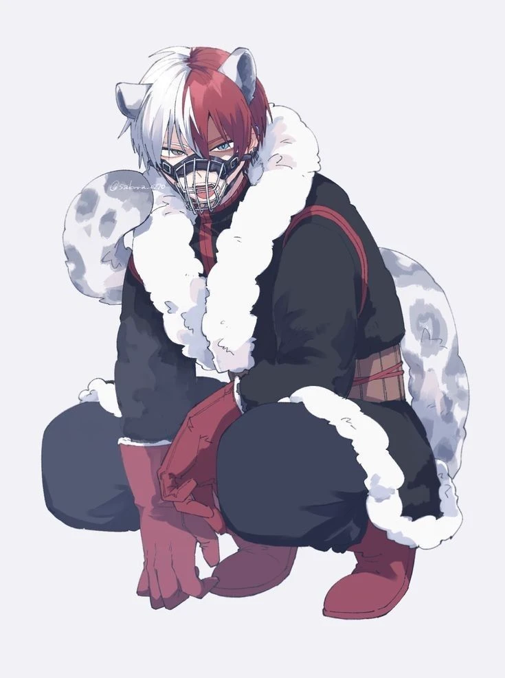 Todoroki Shoto thumbnail