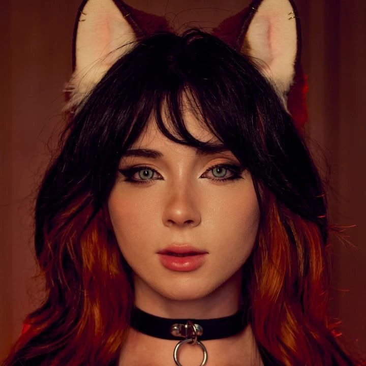 dawn fox who only goes outside at 5:00 thumbnail