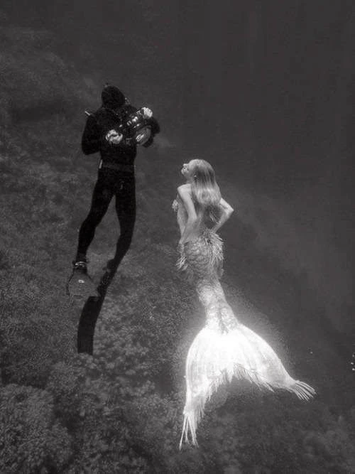 diver/ mermaid thumbnail