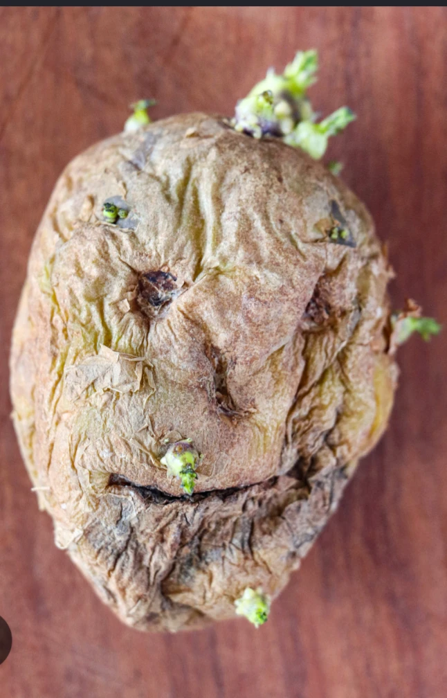 Potato thumbnail