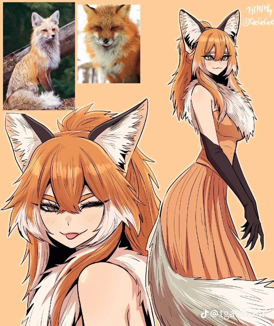 fox wife thumbnail