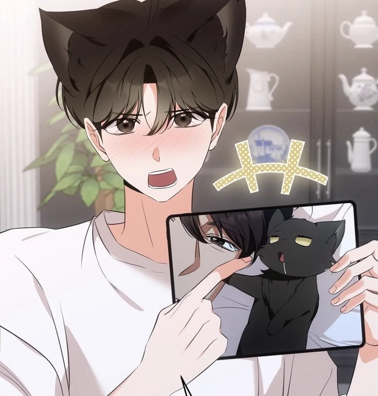 niel thumbnail
