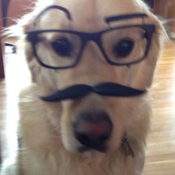 Doge