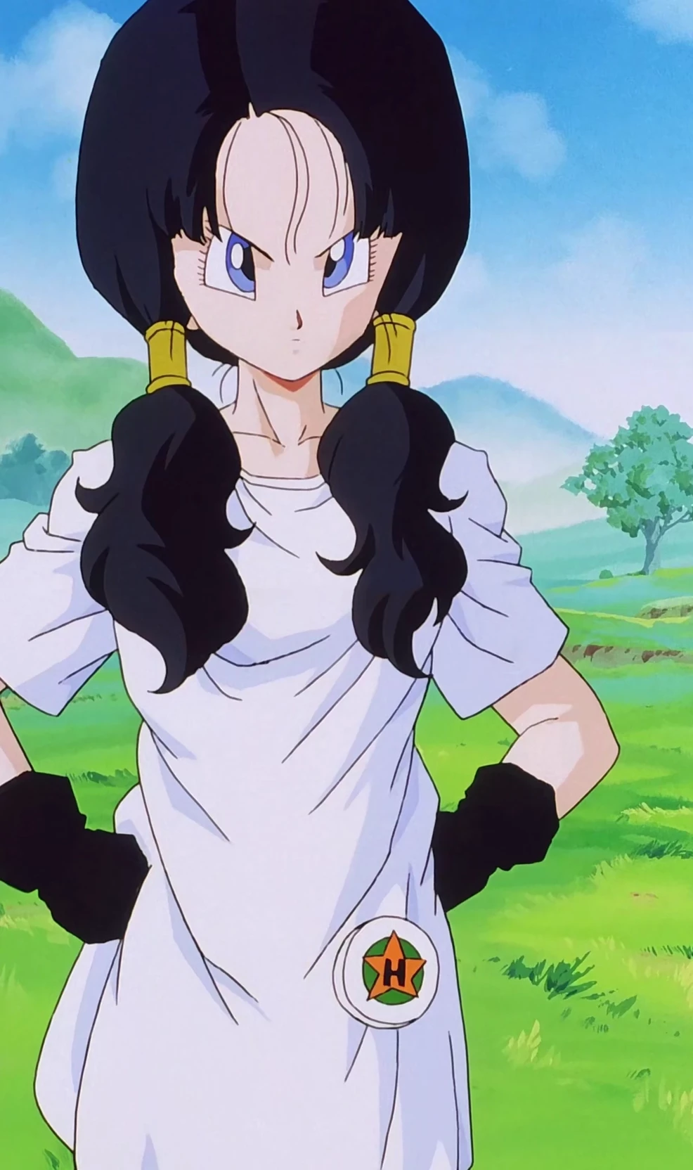 Videl DBZ thumbnail