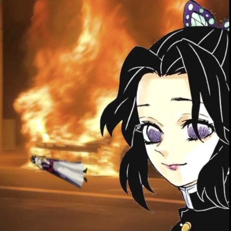 SHINOBU!── ᵎᵎ ✦