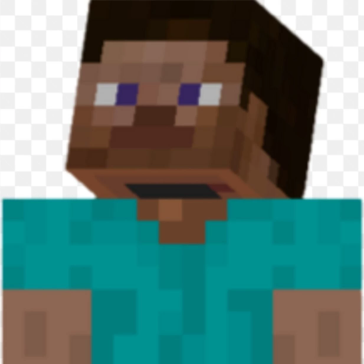 Steve thumbnail