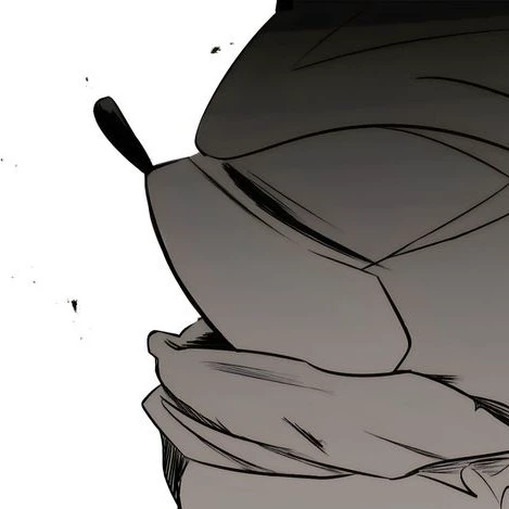 Shadow