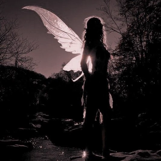 You are a fairy thumbnail