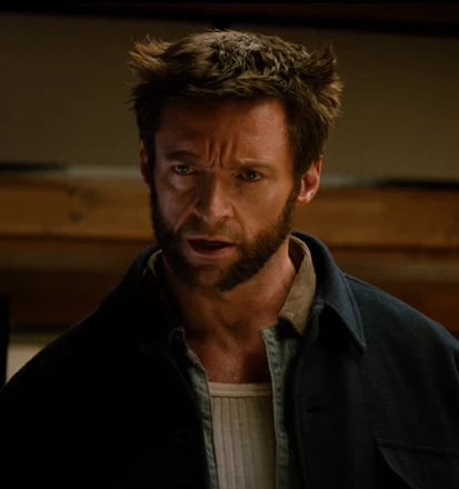 the wolverine (aka logan)  and the other X-men. thumbnail