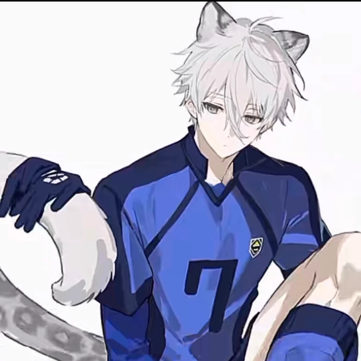 Nagi Seishiro🐾💕 thumbnail