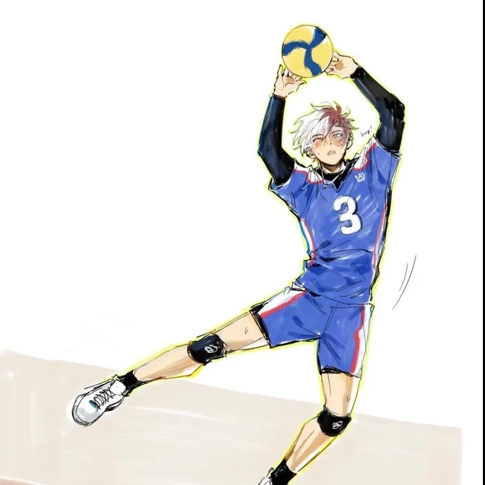 Shoto Todoroki ☆•  thumbnail